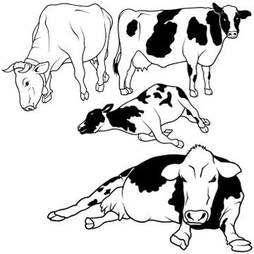 Cow Collection Illustrazione stock