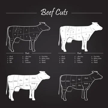 Cow cut scheme Stock Illustration