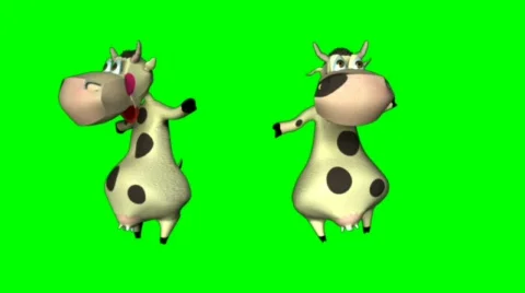 Cow dance Stock Footage 711441