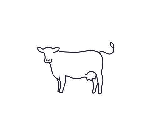 Cow doodle Stock Illustration
