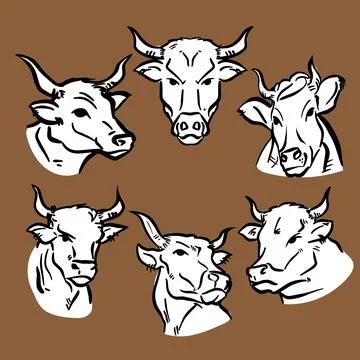 Cow drawing  bundle set for logo or food concept Stock Illustration