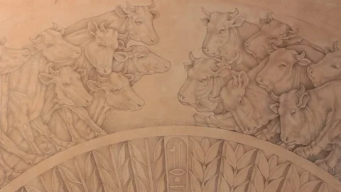 Cow drawing Stock Footage 77053119