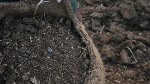 Cow dug compost. Stockbeeldmateriaal 278271509