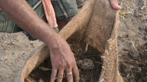 Cow dug compost. Video stock 278271654