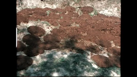 Cow Dung Cakes Drying Stock Footage 276292795