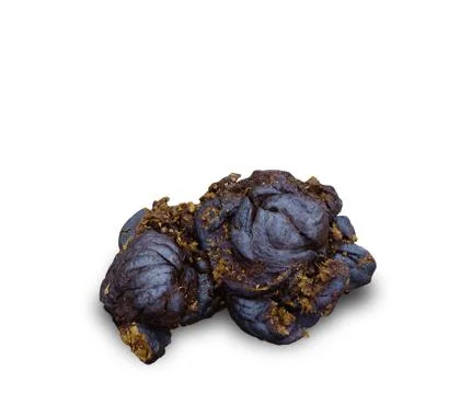 Cow dung isolated on white Stock Photos