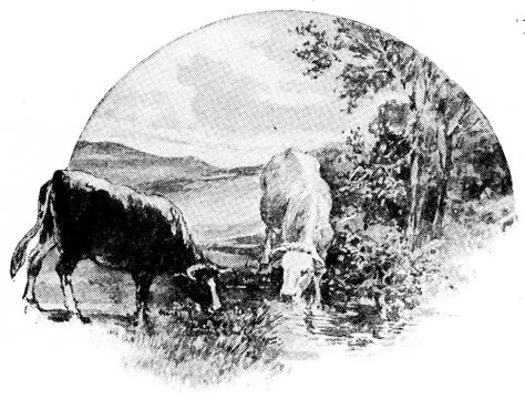 The cow eats grass and clover from the meadow, drinks water from the brook, v Stock Illustration