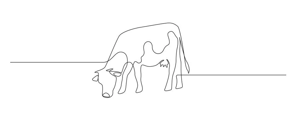 Cow eats grass in One continuous line drawing. Milk calf animal on pasture Stock Illustration