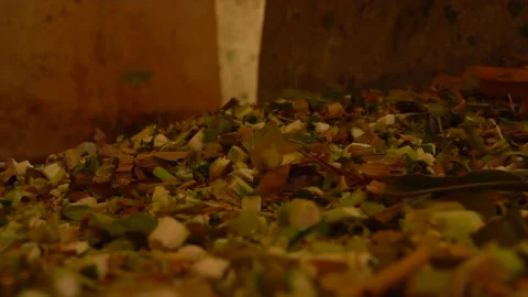 Cow feed cutting machine Stock Footage 212013869