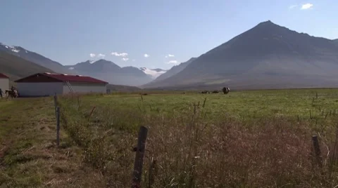 Cow fence Stock Footage 8770982