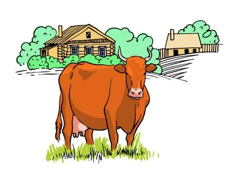 Cow on the field. Vector hand drawn illustration on white background. Stock Illustration