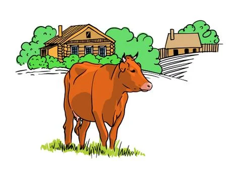 Cow on the field. Vector hand drawn illustration on white background. Stock Illustration