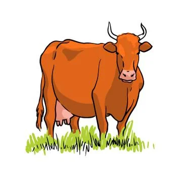 Cow on the field. Vector hand drawn illustration on white background. Stock Illustration