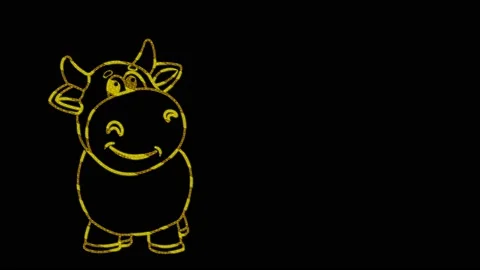 Cow Stock Footage 153414826