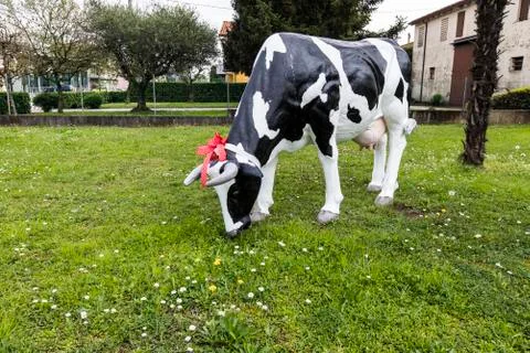 Cow on the grass Stock Photos