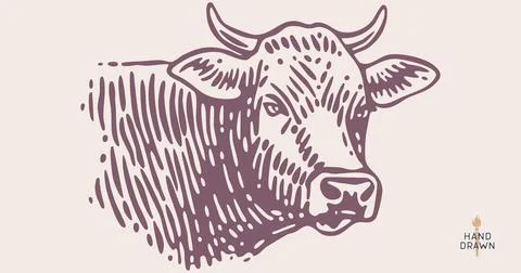 Cow head, bull, beef. Retro style Stock Illustration