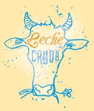 Cow head Stock Illustration