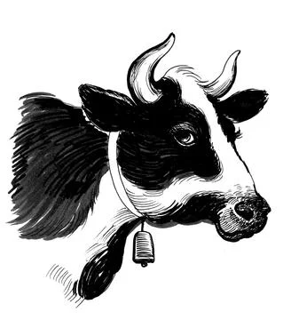 Cow head Illustrazione stock