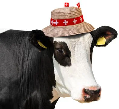 Cow Head with Straw Hat with Flags of Switzerland Isolated on White Stock Photos