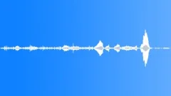 Cow herd movement 01 Sound Effect