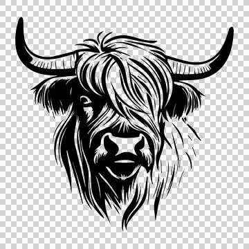 Cow Highland Cattle Head looking horns Illustration