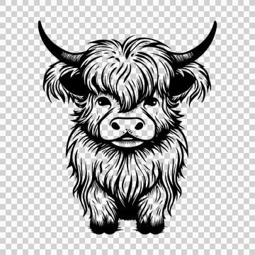 Cow Highland Head Facing Front horns fur line art black Stock Illustration