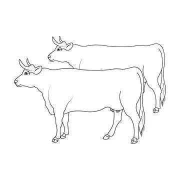Cow icon Stock-Illustration