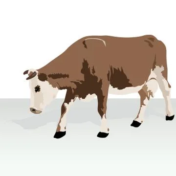 Cow Stock-Illustration