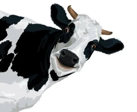 Cow Stock-Illustration