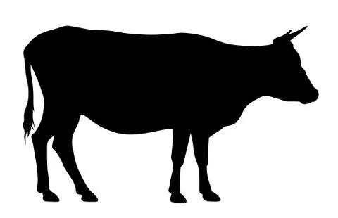 Cow Stock Illustration