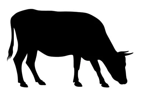 Cow Stock Illustration