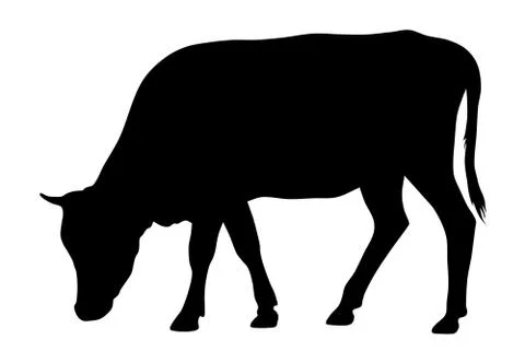 Cow Stock Illustration