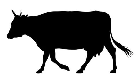 Cow Stock Illustration