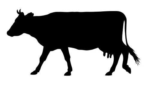 Cow Illustrazione stock