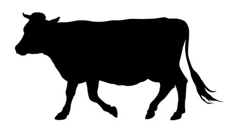 Cow Stock Illustration