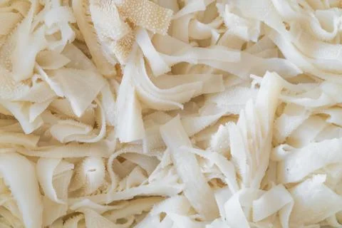 Cow Intestines Stock Photos
