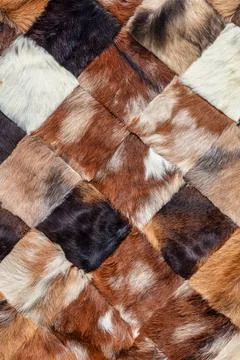 Cow leather with a checkerboard pattern Stock Photos