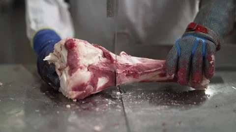 Cow leg bone being sliced in half by a linear saw at a meat processing Video stock 280093271