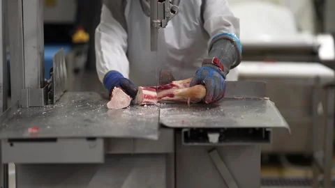 Cow leg bone being sliced in medallions by a linear saw at a meat Stock Footage 280240301