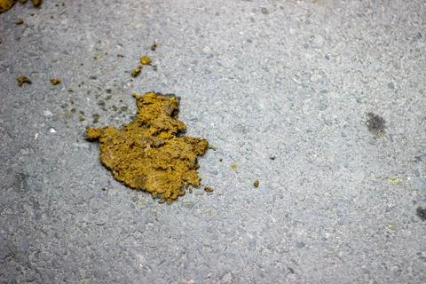 Cow Manure Stock Photos