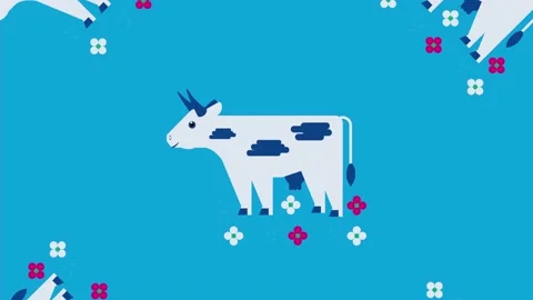 Cow in the meadow. Pattern. Slow motion Stock Footage 163516785