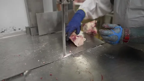 Cow meat bones being sliced by a linear saw at a meat processing plant by Video stock 280572898