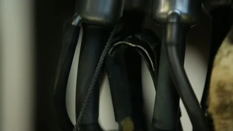 Cow milking technology 4 Stock Footage 314514980