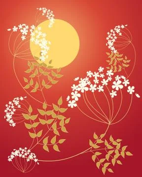Cow parsley Stock Illustration