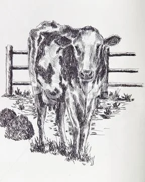 Cow on pasture - illustration. Detailed drawing of a cow icon with a ...