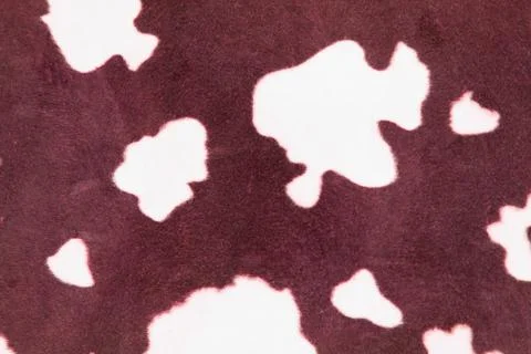 Cow pattern Stock Photos