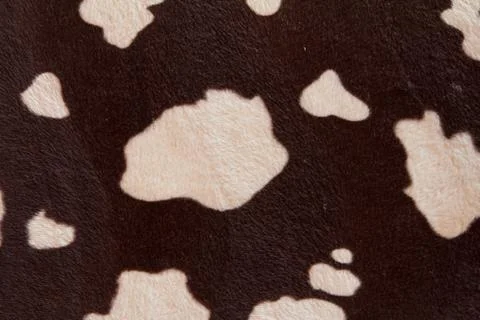 Cow pattern Stock Photos