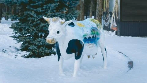Cow Stock Photos