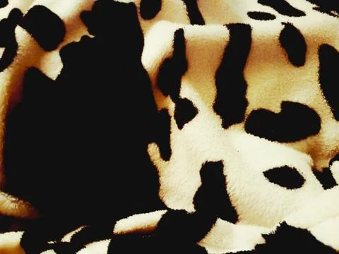 Cow Print Texture Stock Photos