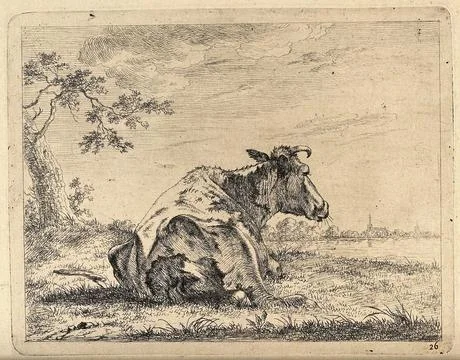 A cow at rest lying in a field. Etching, possibly by J. Janson, the elder. Ilustración de archivo